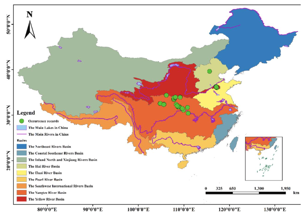 Dot distribution map