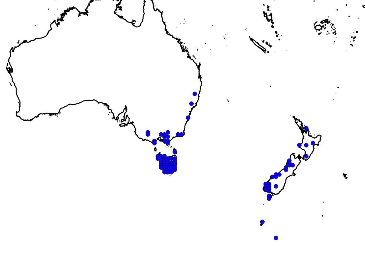 Dot distribution map